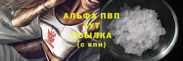 спиды Белокуриха