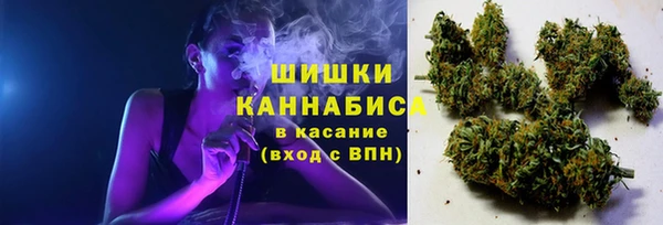 прущие грибы Белоозёрский