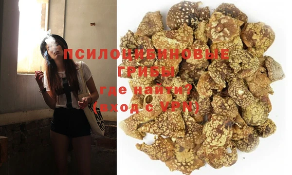 прущие грибы Белоозёрский